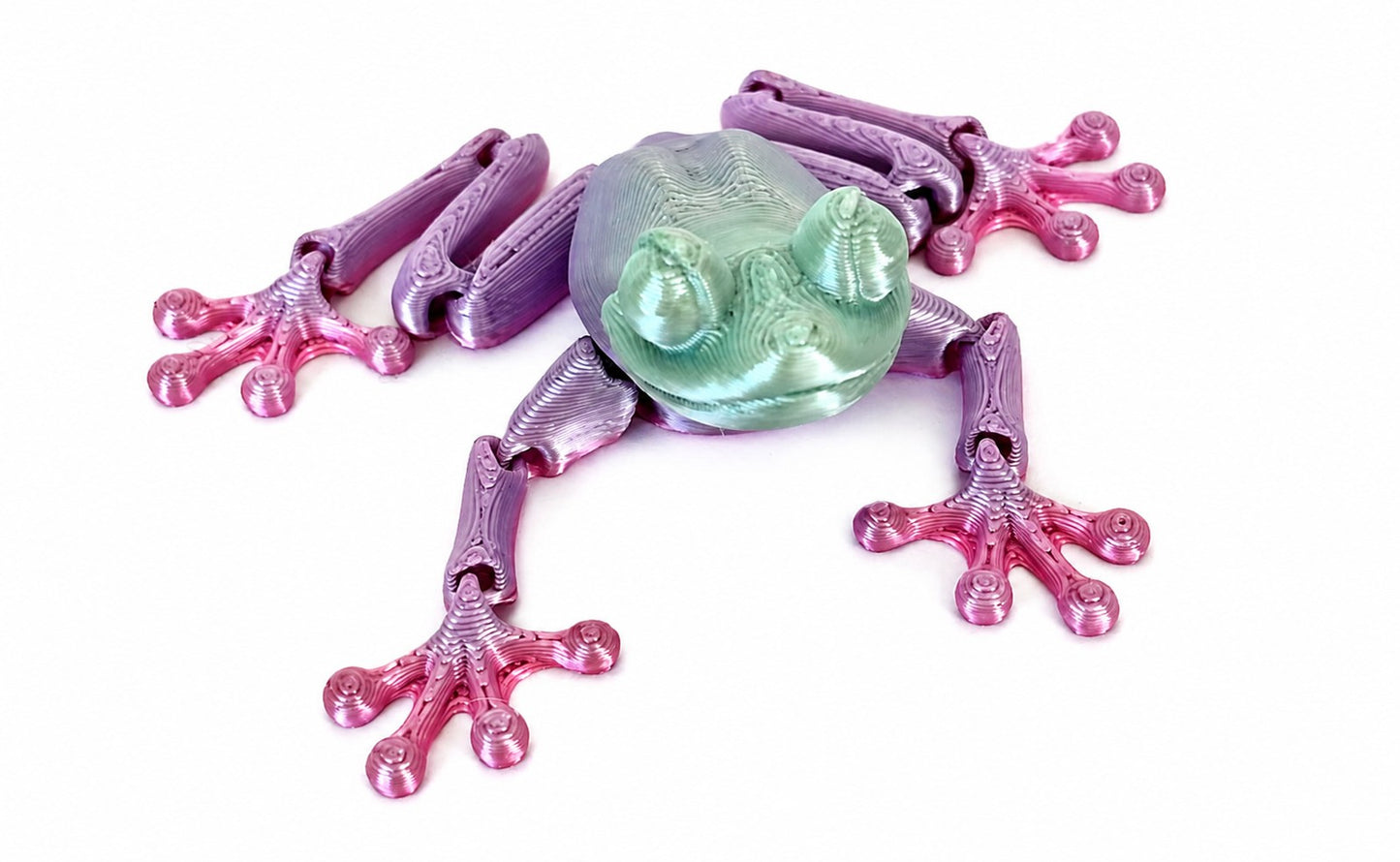 Articulated Frog Sensory Toy
