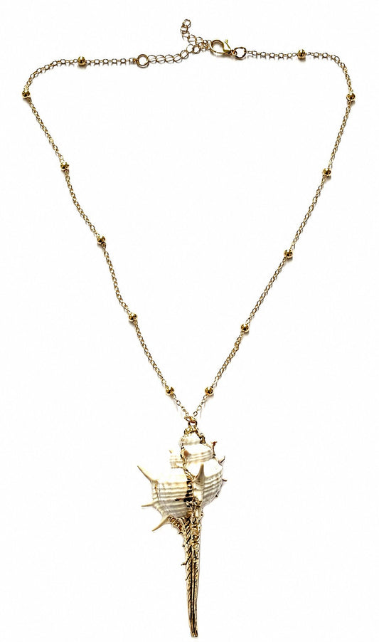 Shell Drop Necklace