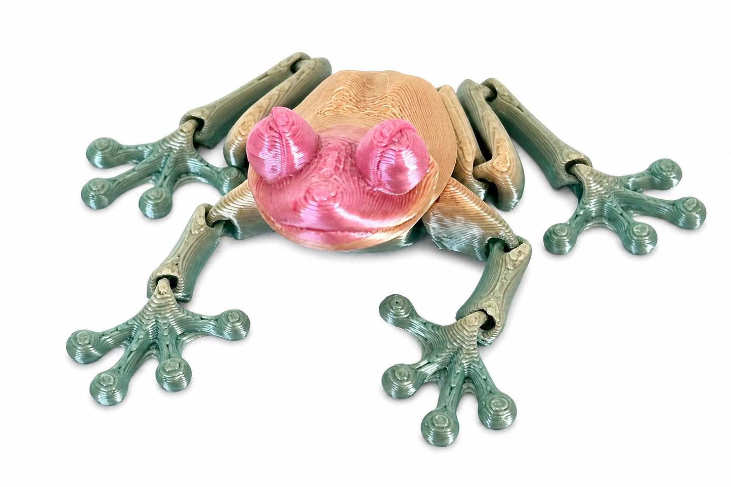 Articulated Frog Sensory Toy