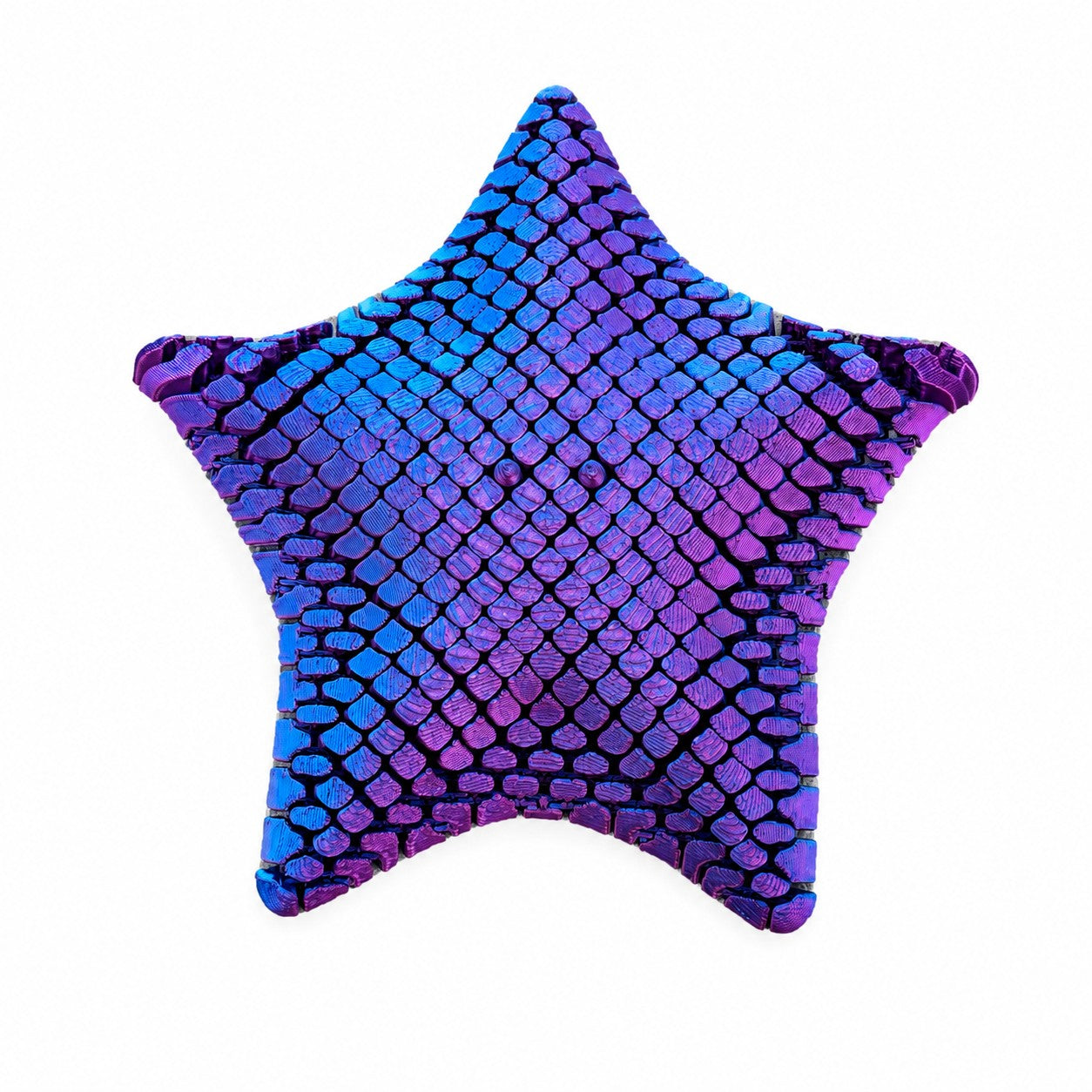 Starfish Sensory Toy
